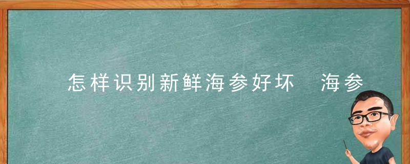 怎样识别新鲜海参好坏 海参怎样辨别是否新鲜